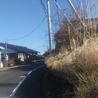 画像1532