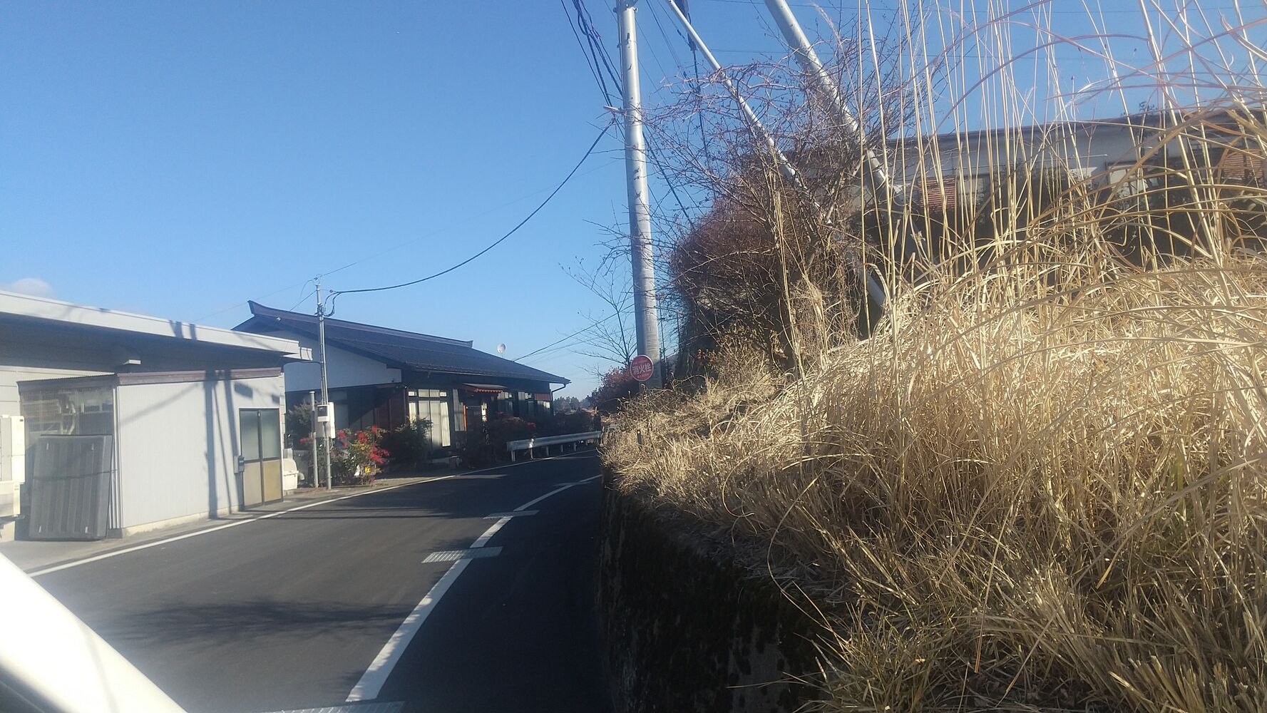 画像1532
