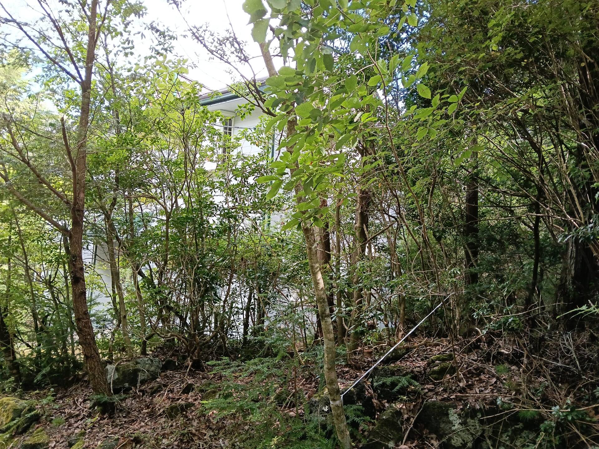 IMG20260807085154