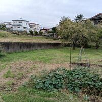画像1666
