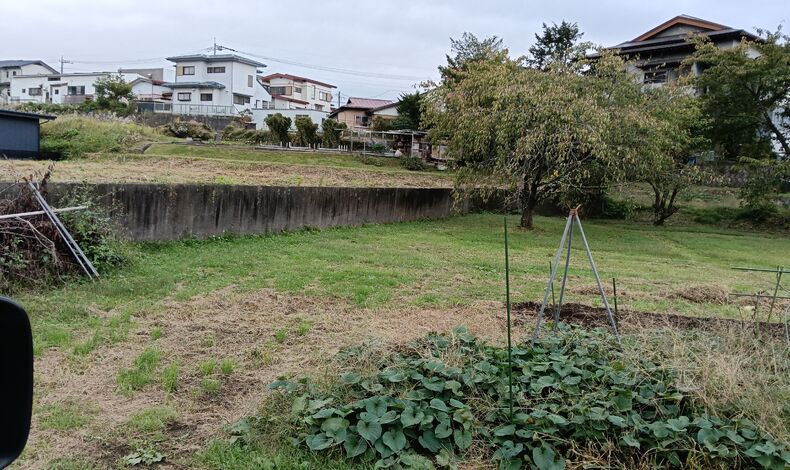 画像1666
