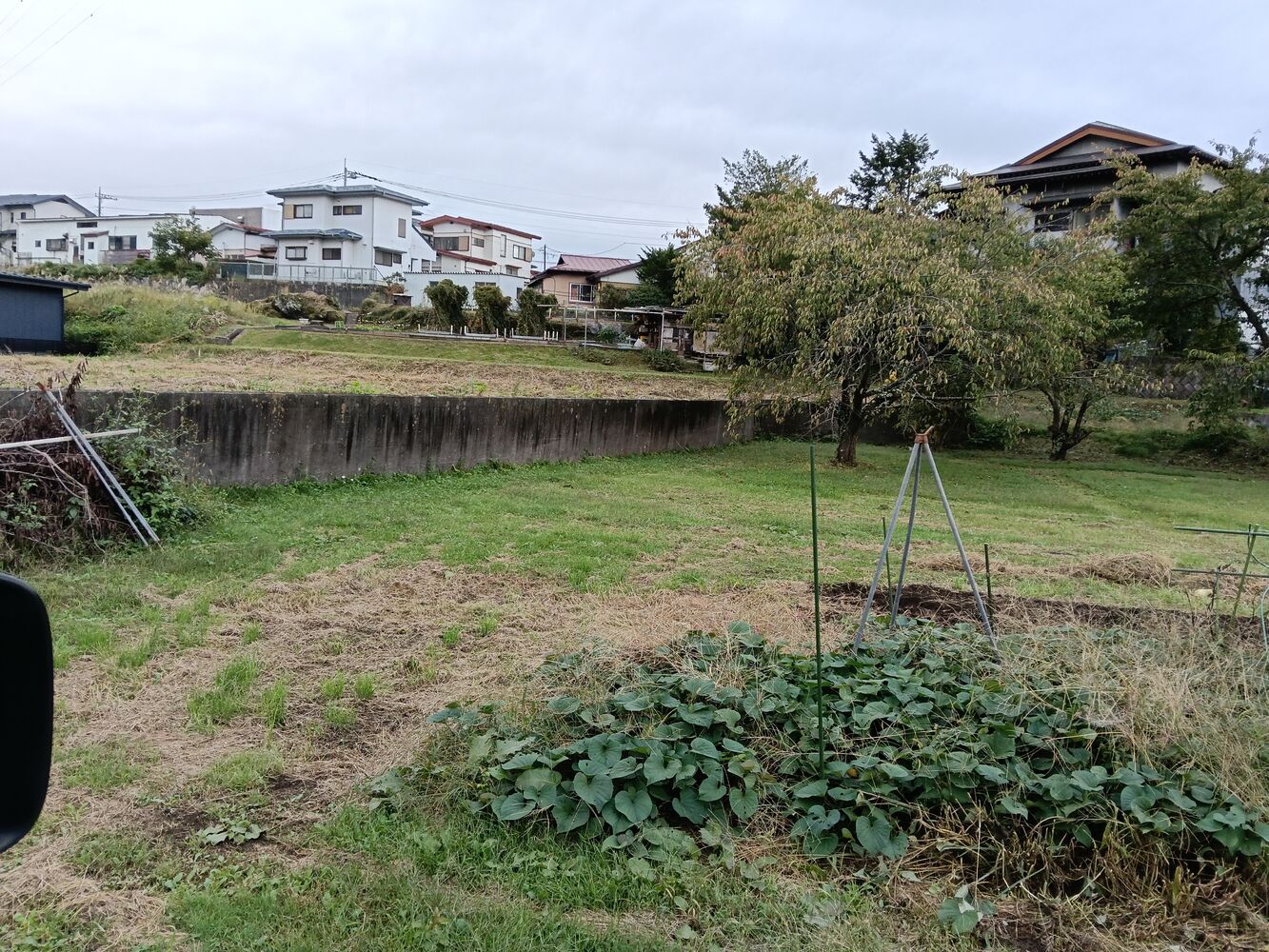 画像1666