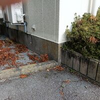 画像1696